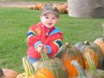 Pumpkin patch