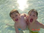 dominican 2006