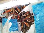 2012-04-14 14.48.39.jpg