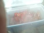 2012-04-14 14.49.48.jpg