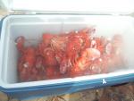 2012-04-14 14.49.59.jpg