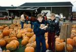 scan0010 _Large_