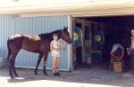 scan0013 _Large__001